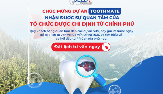 Chúc Mừng Key Founder Dự Án Toothmate Nhận Được Sự Quan Tâm Của Tổ Chức Được Chỉ Định Từ Chính Phủ (Designated Organization)!